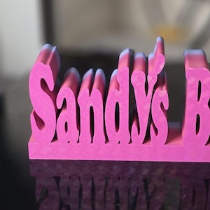 Könnte beinhalten: Ein pinkfarbenes, dreidimensionales Schild mit der Aufschrift "Sandy's Budget" in einer stilisierten Schriftart. Die Buchstaben sind dick und haben ein strukturiertes Aussehen, mit einem weißen Farbverlauf an der Oberseite. Das Schild steht auf einer reflektierenden Oberfläche.