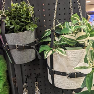 May include: Two hanging planters with greenery. One planter is gray felt with black leather straps and a silver chain. The other is white ceramic with black leather straps and a silver chain. Both planters have a buckle closure.