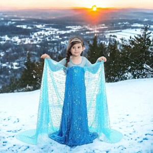 Etsy frozen dress sales
