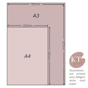 May include: Two rectangular paper sizes, A3 and A4, are shown in a light pink color. The A3 paper measures 297mm x 420mm, and the A4 paper measures 210mm x 297mm. Text indicates the illustrations are printed on 300gsm white card paper.