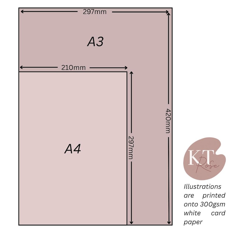 May include: Two rectangular paper sizes, A3 and A4, are shown in a light pink color. The A3 paper measures 297mm x 420mm, and the A4 paper measures 210mm x 297mm. Text indicates the illustrations are printed on 300gsm white card paper.