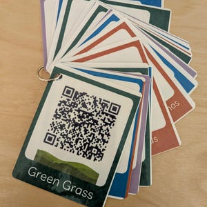 May include: A collection of cards attached to a metal ring. The cards feature a white background, coloured borders, and text, including "Green Grass" and QR codes. The cards are fanned out, displaying various colours.