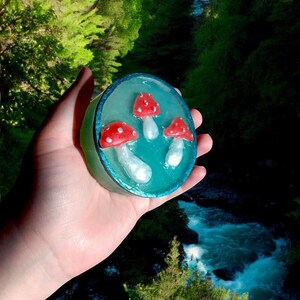 Könnte beinhalten: Ein runder, türkisfarbener Seifenblock mit drei roten und weißen Pilzmotiven. Die Seife wird in einer Hand vor einem Hintergrund aus grünen Bäumen und einem blauen Fluss gehalten.