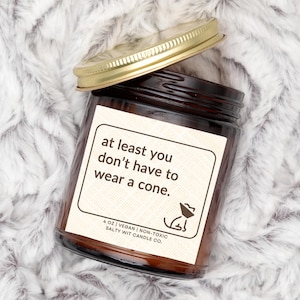 May include: A brown glass candle jar with a gold lid. The label reads "at least you don't have to wear a cone." and "4 oz | Vegan | Non-Toxic Salty Wit Candle Co."