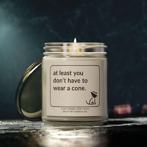 Może przedstawiać: Zapalone, białe świeca w szklanym słoiku ze srebrną pokrywką. Etykieta głosi "at least you don't have to wear a cone." Świeca ma 255 gram&oacute;w, jest wegańska i nietoksyczna. Marka to Salty Wit Candle Co.