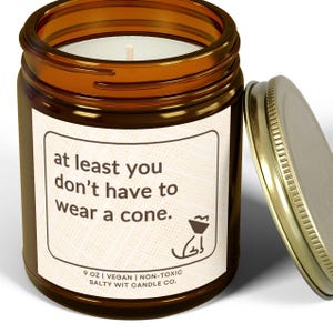 Może przedstawiać: Brązowy szklany słoik na świecę ze złotą pokrywką, z białą etykietą z napisem "at least you don't have to wear a cone." Etykieta zawiera r&oacute;wnież ilustrację psa i napis "9 OZ | VEGAN | NON-TOXIC SALTY WIT CANDLE CO."