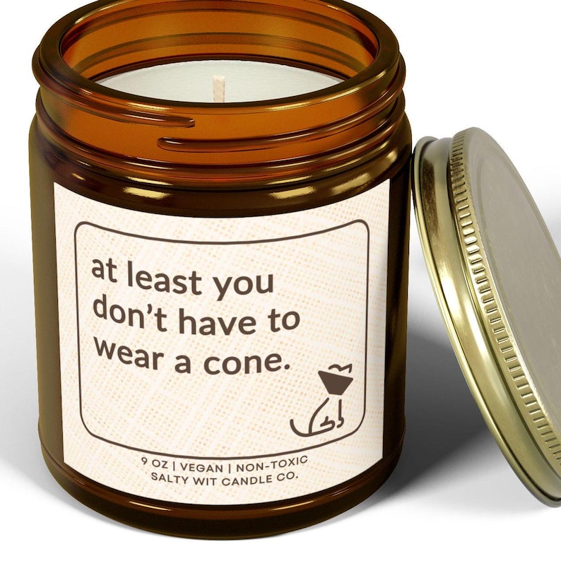 Może przedstawiać: Brązowy szklany słoik na świecę ze złotą pokrywką, z białą etykietą z napisem "at least you don't have to wear a cone." Etykieta zawiera r&oacute;wnież ilustrację psa i napis "9 OZ | VEGAN | NON-TOXIC SALTY WIT CANDLE CO."
