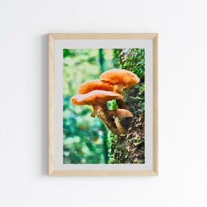 Hongos [parte 3] / Setas de acuarela / Impresión de arte de la naturaleza / Descarga digital