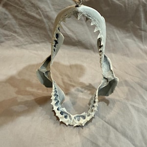 May include: A shark jaw ornament, painted in grey and white, suspended by twine. The jaw's teeth are sharply defined, creating a striking contrast. This unique piece adds a touch of marine-inspired decor. The ornament is a decorative item.