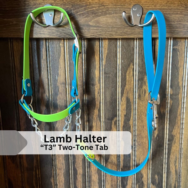 LAMB HALTER | "T3" (Two-Toned Tab halter) | stock show | show lamb |