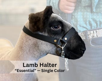 LAMB HALTER | &quot;Essential&quot; (Single color)| stock show | show lamb |