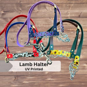 May include: A collection of colorful lamb halters with UV-printed designs. The halters feature various patterns, including a cow print, floral, and sunflower design. The halters are in red, blue, purple, green, and brown.
