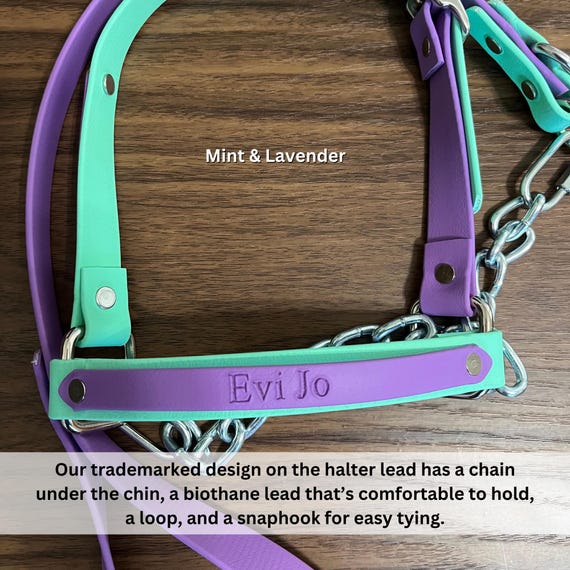 LAMB HALTER | "Duo" | stock show | show lamb |