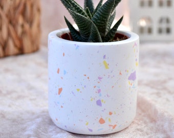 Unique Plant Pot with Plant for Office Desk, Mini Desk Planter and Plant with Colorful Terrazzo, Cute Windowsill Cactus Planter and Plant
