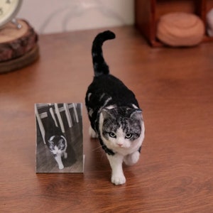 Custom Needle Felted Cat Portrait Figurine,Custom Needle Felted Animals/Pets Portrait,Felt Cat Ornament,Realistic Cat Replica,Cat Loss Gift