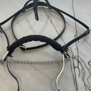 May include: A black leather horse halter with a braided leather noseband and a silver bit with a chain.