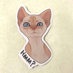 Hmm? Adesivo impermeabile a forma di gatto con punta di fiamma