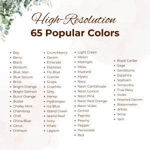 Comfort Colors 1717 T-Shirt Mockup - 65 Farben, Canva Template (Digitaler Download) Bild 12