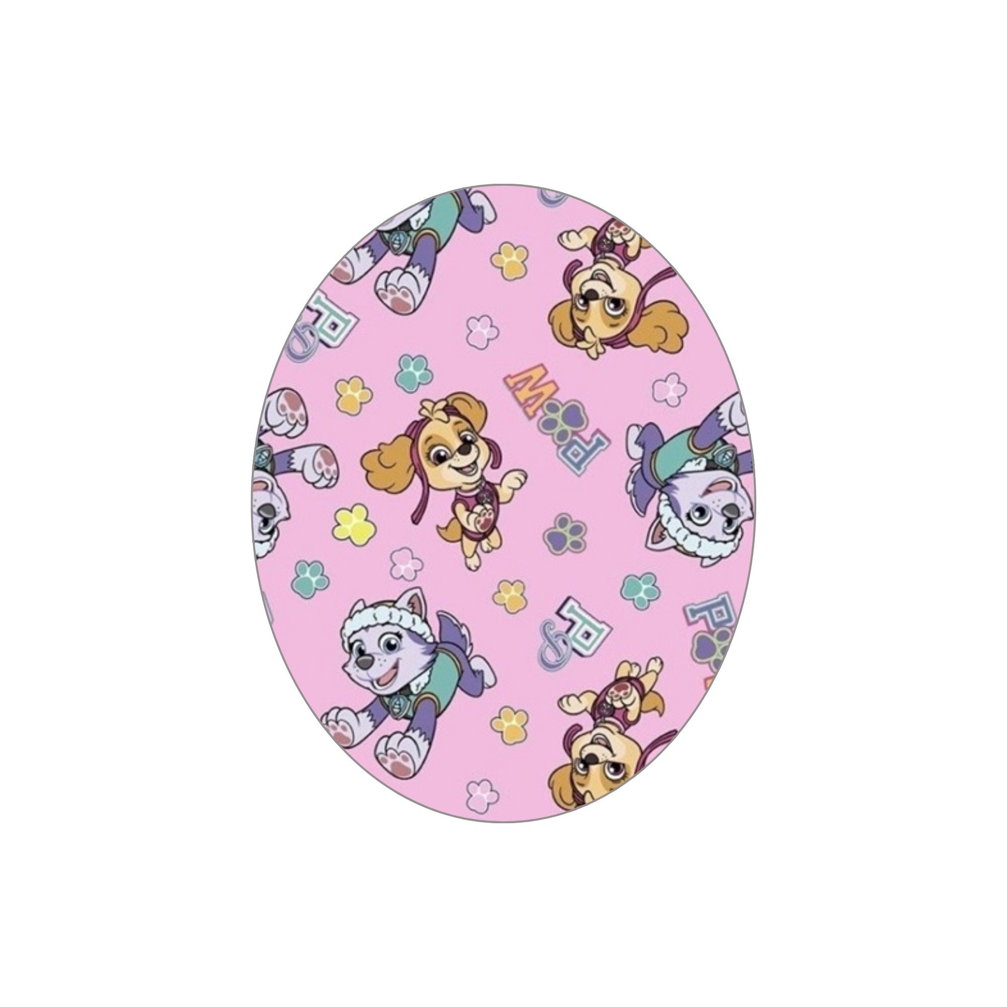 Paw Patrol Skye & Everest CGM Adhesive Patch; Kids Diabetes Patch Libre ...