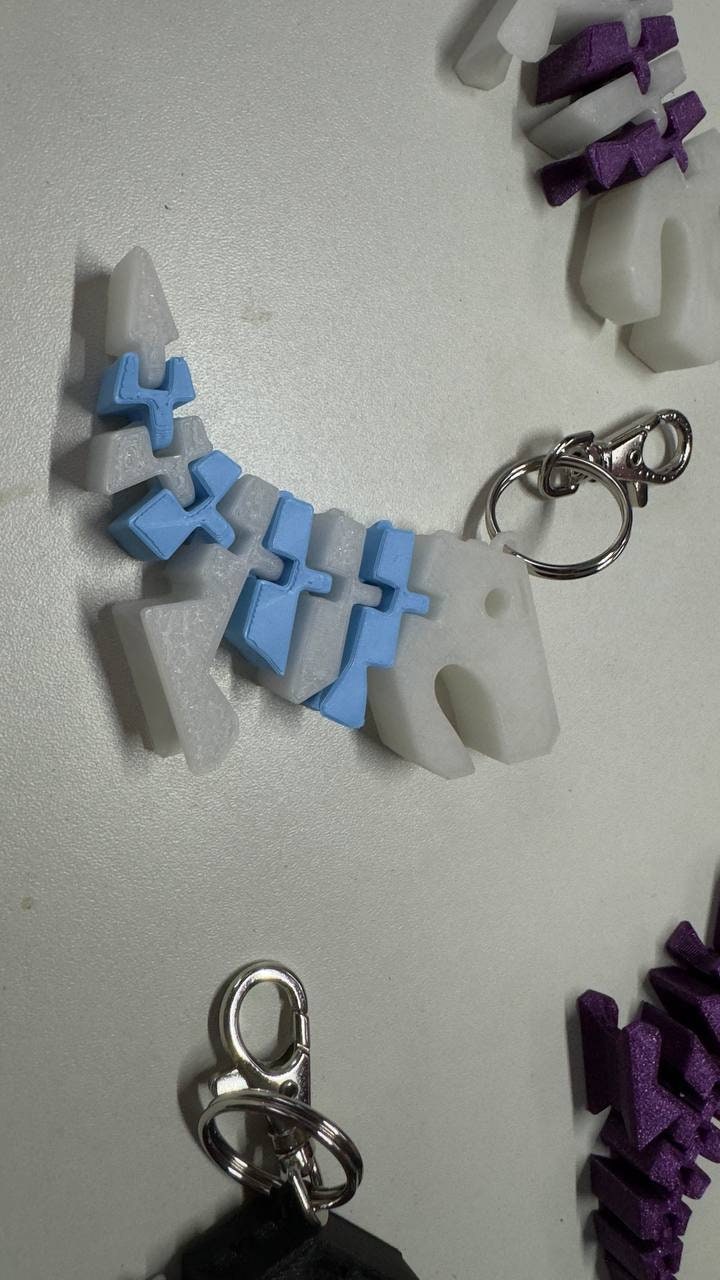 Frisbee Keychain Etsy Singapore