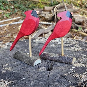 set of 2 cardnails