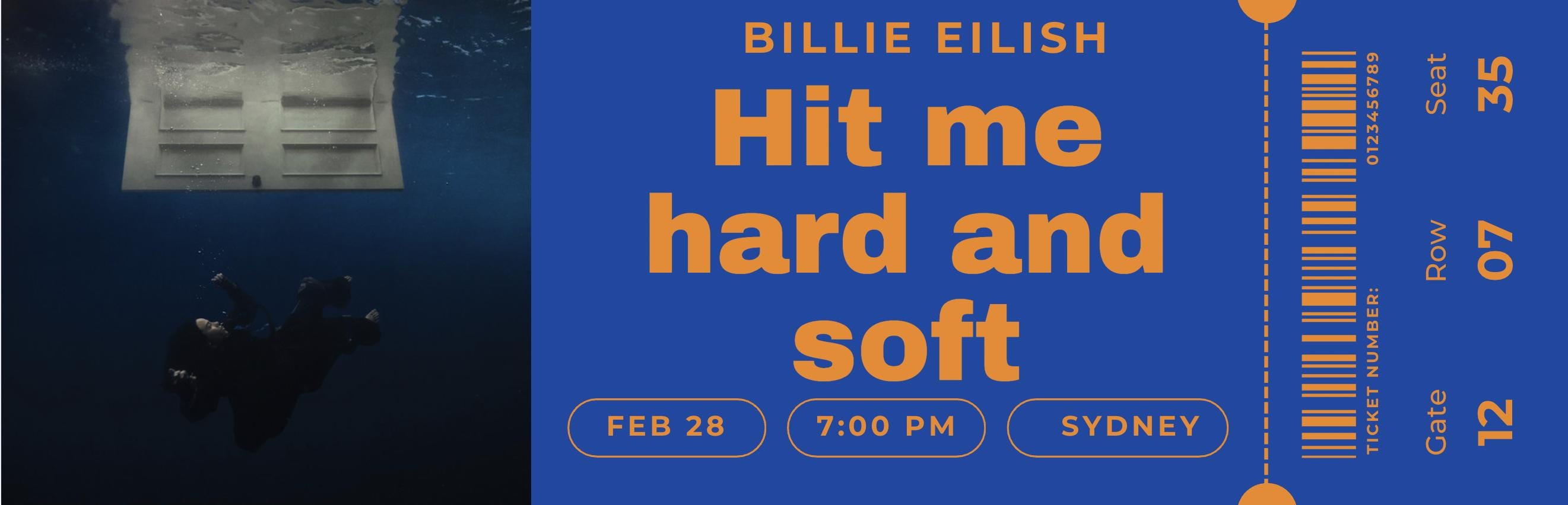 Hit Me Hard and Soft Tour Ticket - Etsy Canada