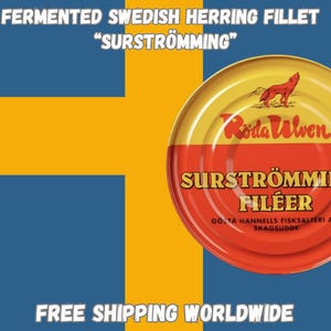 Surströmming fillet, fermented Swedish Herring Stinky fish challenge, Sour herring, Fermented fish , Surströmming festival, Swedish delicacy