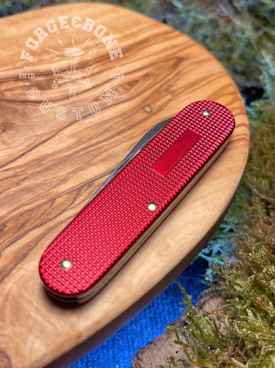 Victorinox Cadet Alox 5 Colors Red 0.2600.L1221 - Etsy