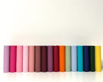 A6 Deluxe Budget Binder Starter Set for the envelope method