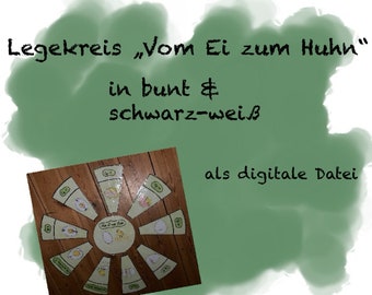 Laying circle from egg to hen in color and black and white as a digital file