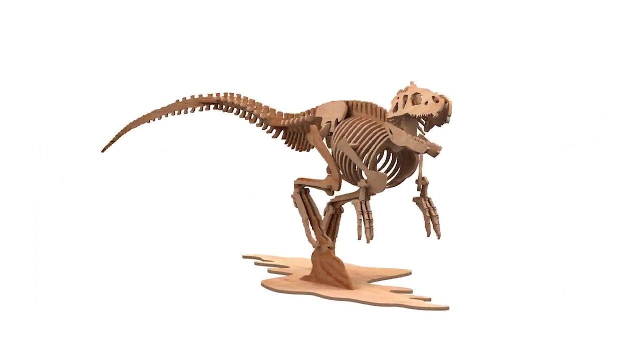 Allosaurus fragilis dinosaur skull fossil discovery, image size:1280x720