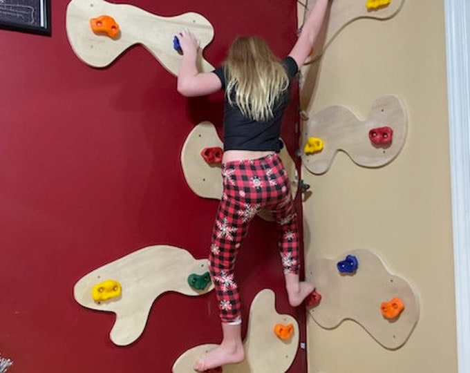 Indoor Rock Climbing Wall