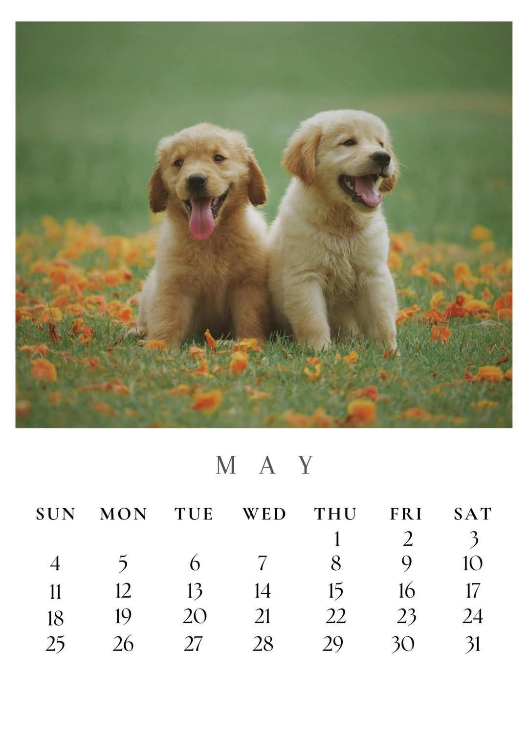 Dog 2025 Calendar, Puppy Calendar, Cute Dog Calendar, Printable ...