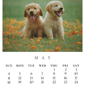 Calendario de perros 2025, calendario de cachorros, calendario de perros lindos, calendario imprimible, PDF imprimible, calendario descargable, calendario digital, 2025