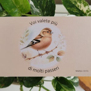 Regalo JW ITALIANO - Carta di incoraggiamento JW - Biglietto di incoraggiamento Jw