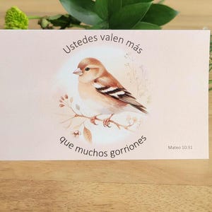 JW Tarjeta de Animo - JW Printable Card Spanish