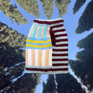 Op de afbeelding: Een gestreepte gebreide hondentrui in de kleuren bordeaux, blauw, roze en geel.