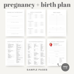 May include: A collection of sample pages from a pregnancy and birth plan journal. The pages include checklists, weekly countdowns, and space for baby names. The text "pregnancy + birth plan" is at the top. The image also includes a strawberry graphic.