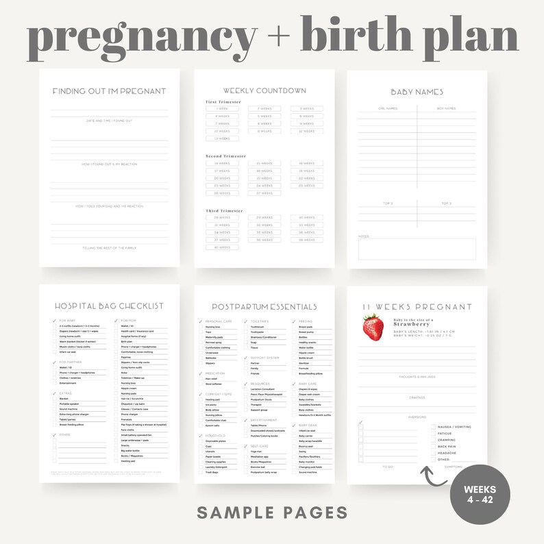 May include: A collection of sample pages from a pregnancy and birth plan journal. The pages include checklists, weekly countdowns, and space for baby names. The text "pregnancy + birth plan" is at the top. The image also includes a strawberry graphic.