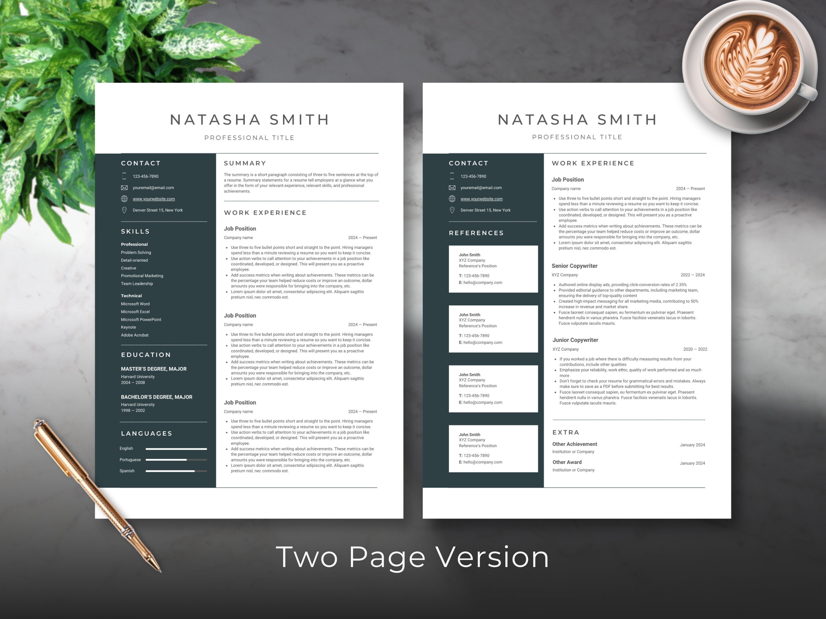 Professional Resume Template Cover Letter Resume Professional CV ATS ...