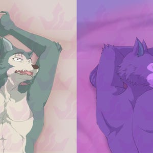Adult 18+ Shy Star of the beast Wolf Daki pillowcase