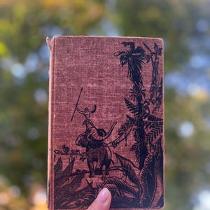 Tarzan Lord of the Jungle by Edgar Rice Burroughs Tarzan series, collectible books, 1920s, art deco, bookshelf, library