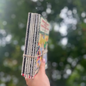 1990 年代の Horrible Harry、ビンテージ チャプター ブック シリーズ、7 冊セット、ソフト カバー、コレクター向けギフト アイデア、コーヒー テーブル ブック