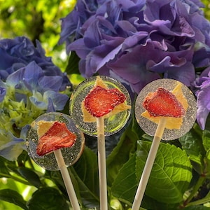 Sugar-Free Isomalt Lollipops Gift Box with Dried Fruits – Tooth-Friendly, Healthy Treats, Vegan