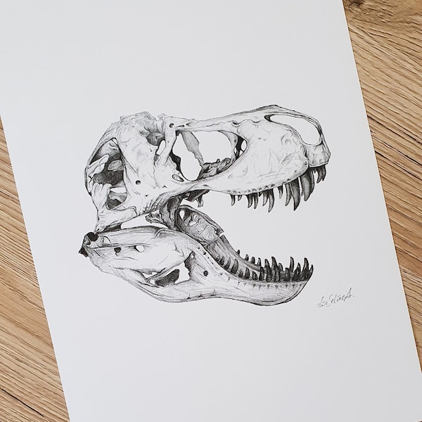 Tyrannosaurus Rex Schädel Zeichnung Kunstdruck