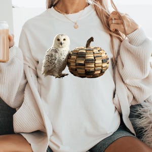 May include: White sweatshirt featuring a snowy owl and a pumpkin made of books. The owl is white with black spots, and the pumpkin is a mix of brown and beige book spines. The design is centered on the front of the shirt.