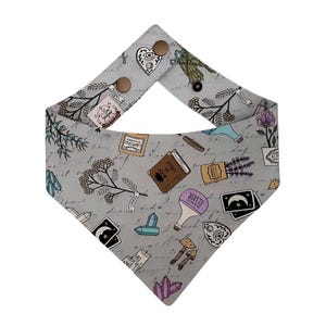 Spells & Potions | Dog and Cat Bandana | Gothic Magic Witchy | Curved Reversible Snap-On