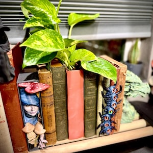Pode incluir: Uma fila de livros antigos com uma planta jiboia verde crescendo no centro. Um livro apresenta uma figura esculpida com capuz azul e cogumelos, enquanto outro exibe uma criatura azul-escura de muitos olhos fixada na lombada.