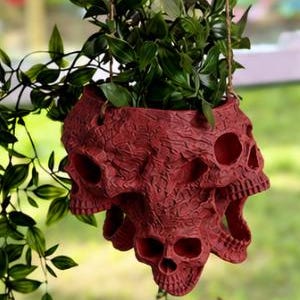 May include: A hanging planter featuring a textured, deep red surface molded with multiple skull shapes. The planter is suspended by thin brown twine and contains a lush green plant with pointed leaves that spills over the sides of the vessel.