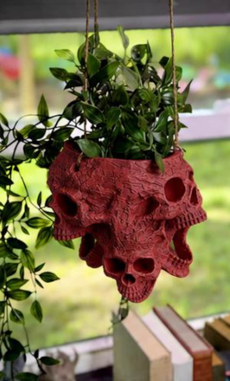 May include: A hanging planter featuring a textured, deep red surface molded with multiple skull shapes. The planter is suspended by thin brown twine and contains a lush green plant with pointed leaves that spills over the sides of the vessel.